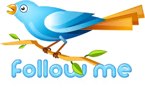Volg ons op Twitter! Volg ons op Twitter!